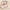 Flower Knows 花知晓 邦尼花园 气垫粉底液 Bonnie Garden Cushion Foundation