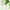 Abib Heartleaf Spot Pad Calming Touch 鱼腥草舒缓棉片