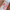 Eunarz又姿 Shimmer Tinted Lip Gloss 醇彩系列珠光有色护唇蜜
