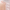 CHANDO 自然堂香氛身体沐浴露系列 Fragrance-Infused Body Care Collection