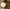 AWAY 香氛裸纱身体油霜 Fragrance Body Oil Cream
