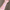 Judydoll 橘朵匀柔腮红乳 Cream Blush Lotion Corrector 5g