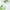 Abib Heartleaf TECA Capsule Serum Calming Drop 50ml 鱼腥草 积雪草舒缓精华