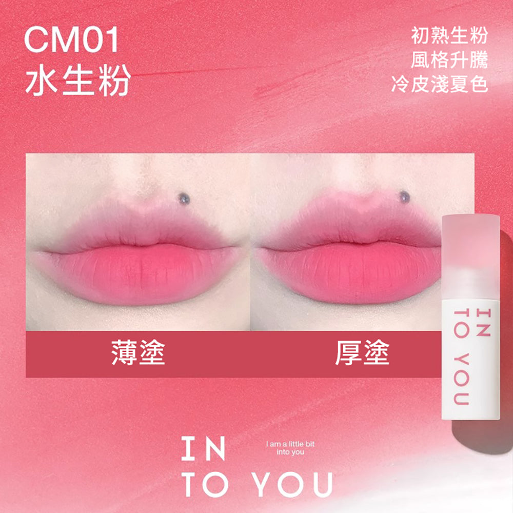 INTO YOU 心慕与你云感唇泥 Cloudy Lip Mud