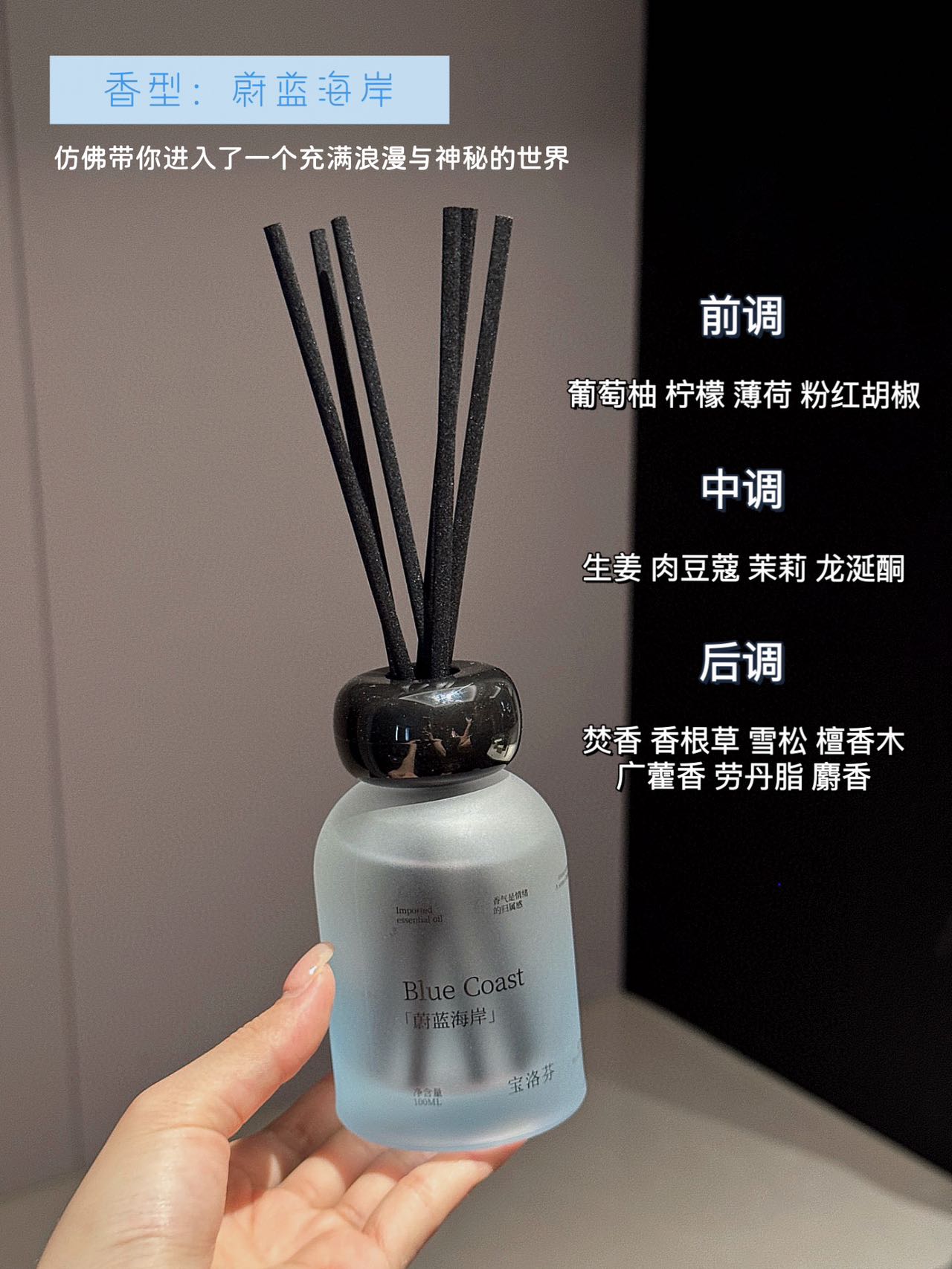 Beelorven 植萃系列无火香薰 Plant-Based Reed Diffuser