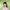 CheerYep 千妍 本色出演 十六色眼影盘 True Color 16-Color Eyeshadow