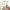 Xunyu 寻遇 四季系列 精油香薰 Four Seasons Essential Oil Aromatherapy Relaxing Home Fragrance Diffuser Oil Room Scent