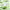 BREYLEE 能量面膜 Energy Mask Hydrating Moisturizing Nourishing Revitalizing Skincare Mask