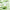 BREYLEE 能量面膜 Energy Mask Hydrating Moisturizing Nourishing Revitalizing Skincare Mask